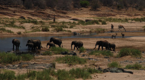 Pietermaritzburg, Durban, KwaZulu-Natal, Kim Breytenbach, Photographer, KZN, Kruger National Park