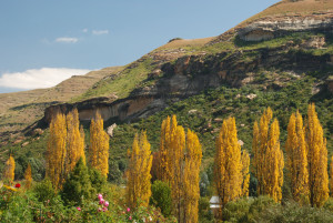 Pietermaritzburg, Durban, KwaZulu-Natal, Kim Breytenbach, Photographer, KZN, Clarens
