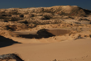 Pietermaritzburg, Durban, KwaZulu-Natal, Kim Breytenbach, Photographer, Witsand